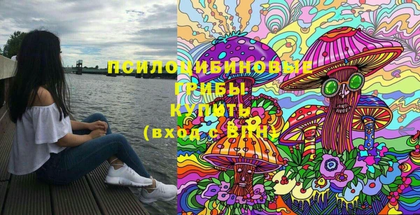 ECSTASY Армянск