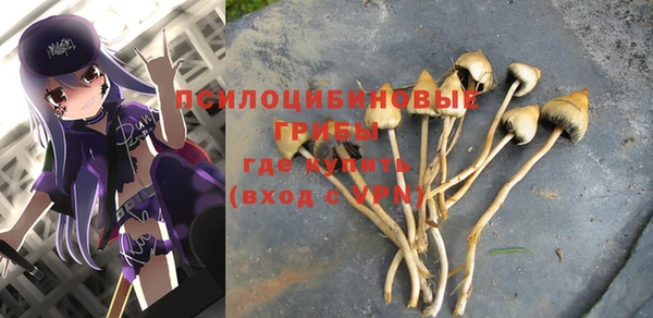 кристаллы Алексеевка