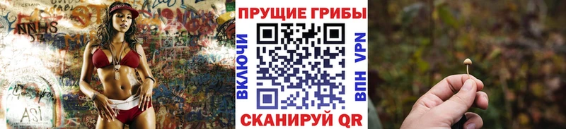 Псилоцибиновые грибы Psilocybe  Новошахтинск 