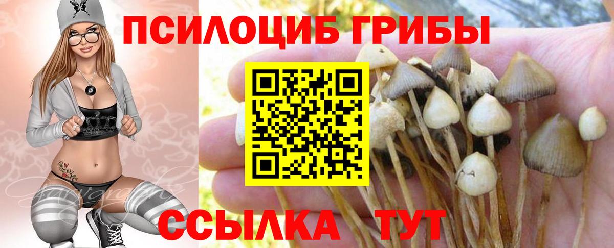 Новошахтинск  что такое наркотик  Псилоцибиновые грибы ЛСД  Вход с VPN  Псилоцибиновые грибы Cubensis 