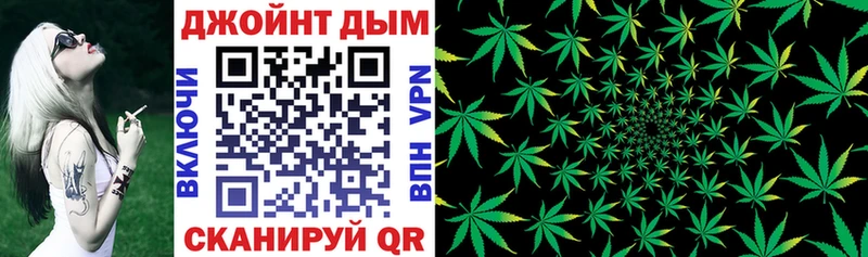 купить Новошахтинск Каннабис сатива